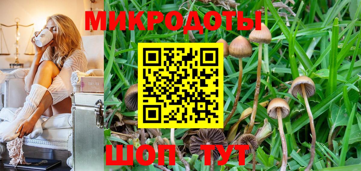 Обь  Галлюциногенные грибы мухоморы  купить наркотик  Вход с VPN 
